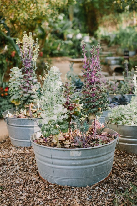 Colorful Poolside Garden Wedding – Photo by Let's Frolic Together