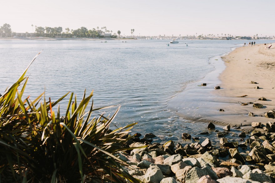 Intimate Paradise Point Wedding – Photo by Let's Frolic Together