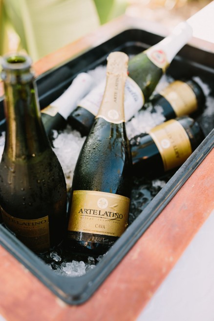Intimate Paradise Point Wedding – Photo by Let's Frolic Together
