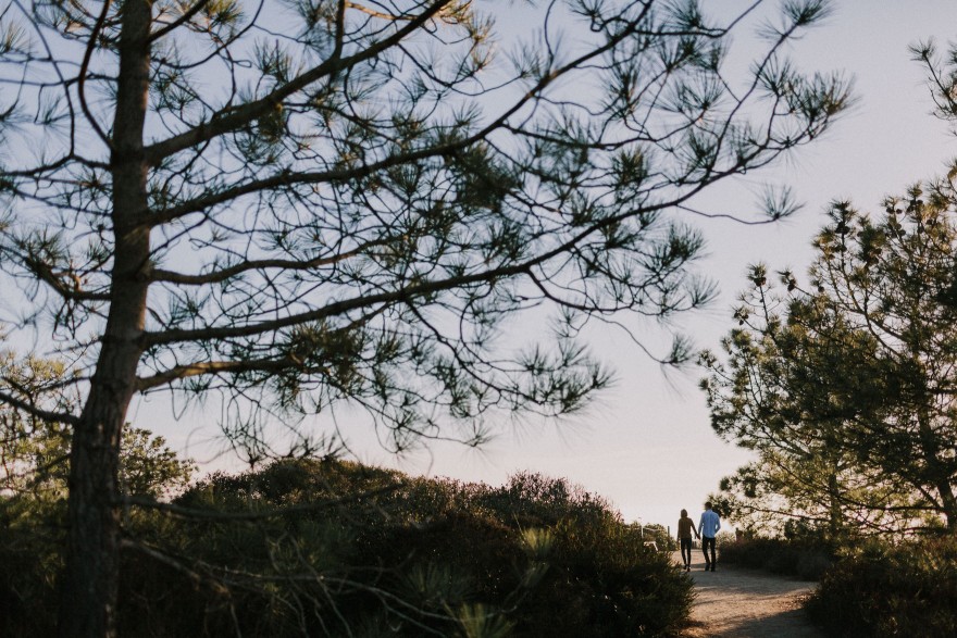 Darling Torrey Pines Engagement – Photo by Let's Frolic Together