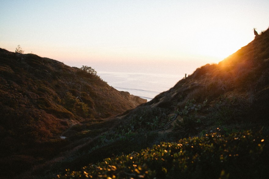 Darling Torrey Pines Engagement – Photo by Let's Frolic Together