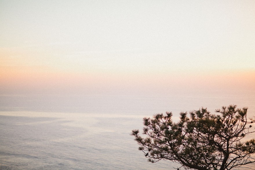 Darling Torrey Pines Engagement – Photo by Let's Frolic Together