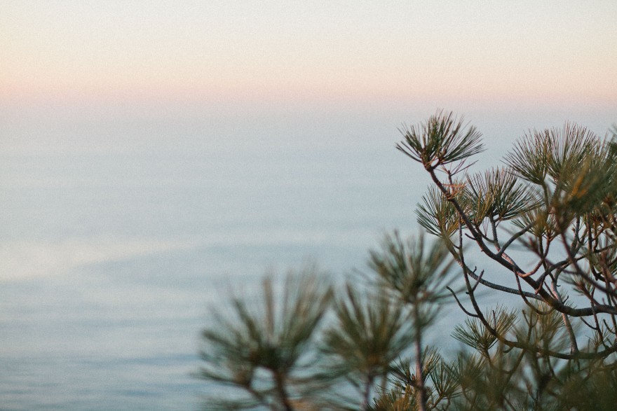 Darling Torrey Pines Engagement – Photo by Let's Frolic Together