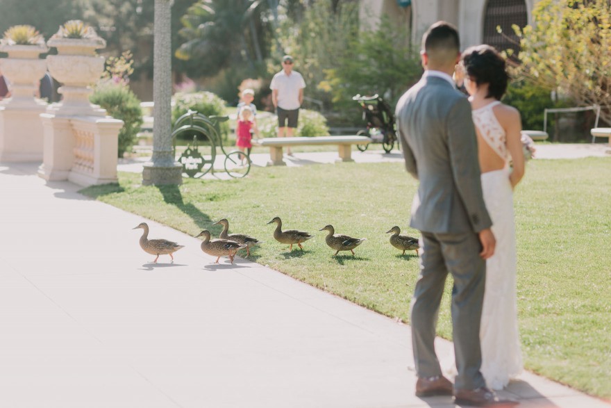 Vibrant Balboa Park Prado Union – Photo by Let's Frolic Together