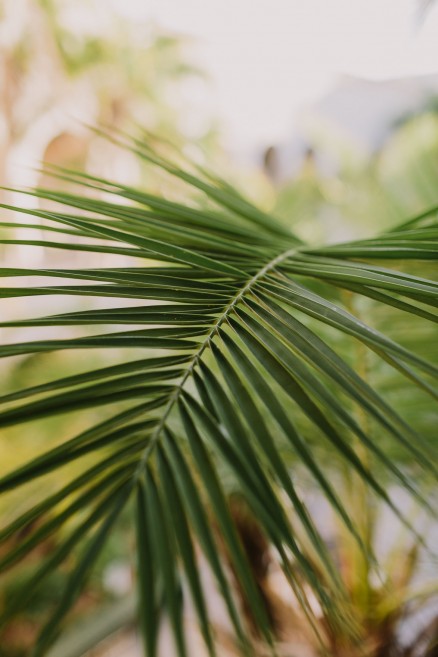 Vibrant Balboa Park Prado Union – Photo by Let's Frolic Together