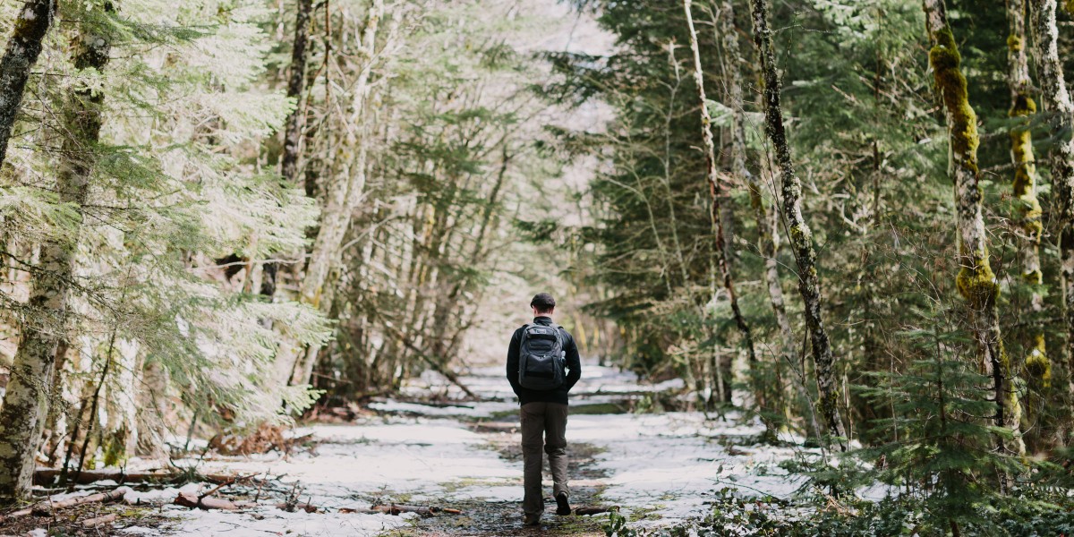 Springtime in Portland Oregon – Photo by Let's Frolic Together