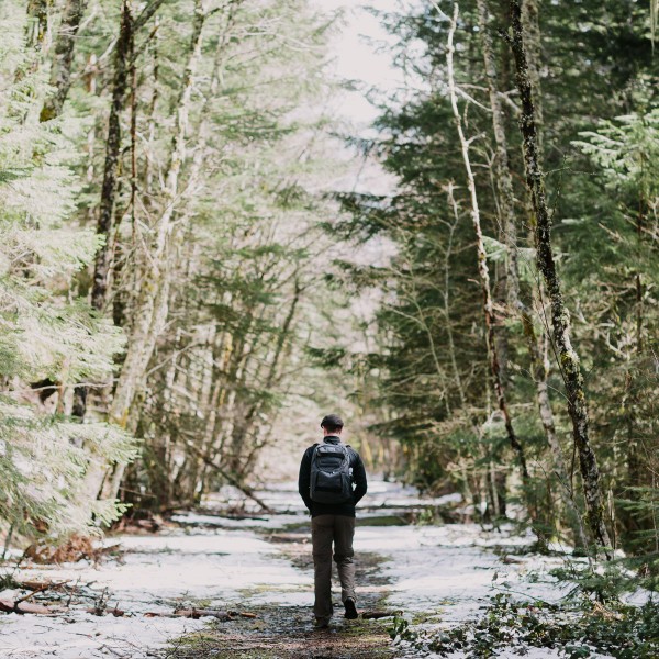 Springtime in Portland Oregon &ndash; Photo by Let's Frolic Together
