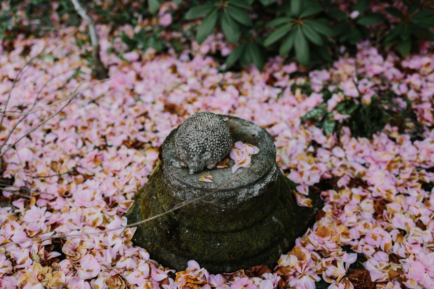 Springtime in Portland Oregon – Photo by Let's Frolic Together