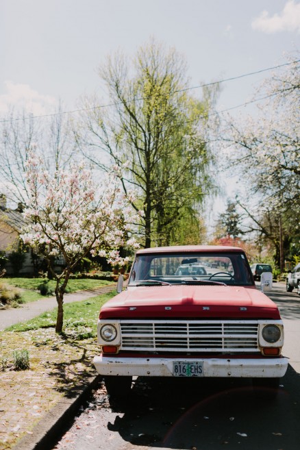 Springtime in Portland Oregon – Photo by Let's Frolic Together