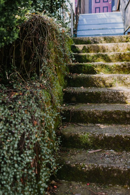 Springtime in Portland Oregon – Photo by Let's Frolic Together
