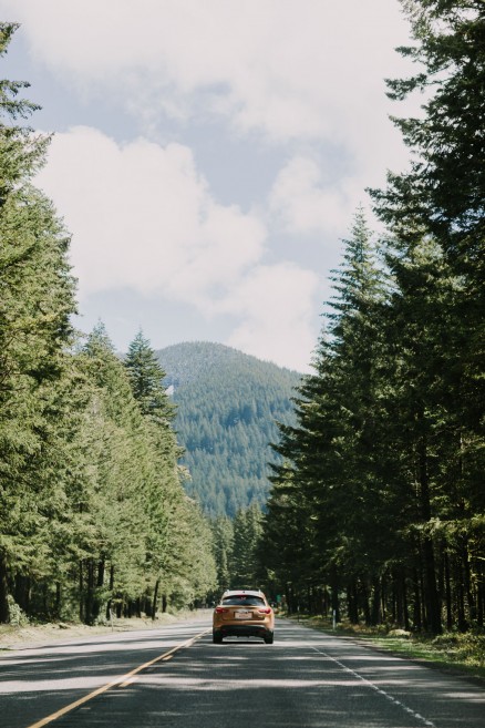 Springtime in Portland Oregon – Photo by Let's Frolic Together