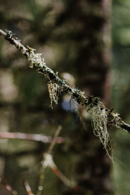 Springtime in Portland Oregon – Photo by Let's Frolic Together