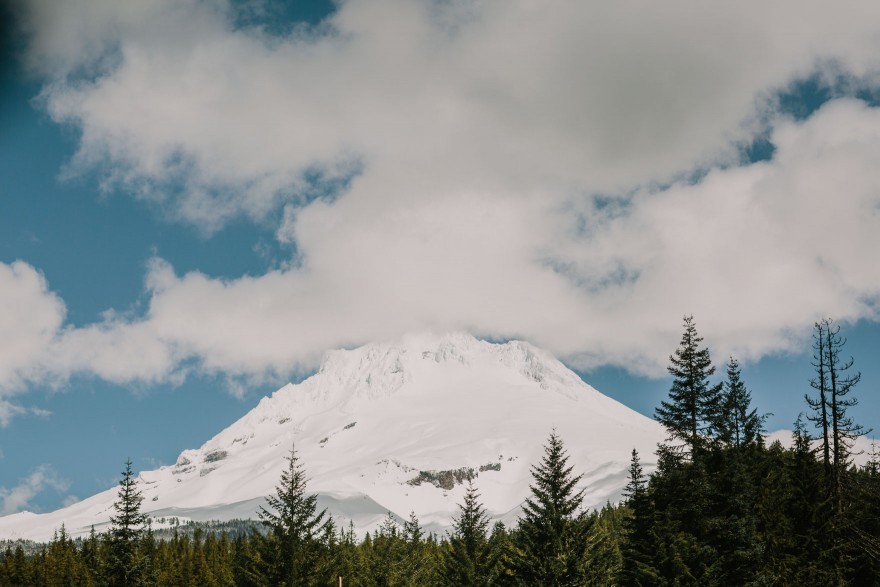 Springtime in Portland Oregon – Photo by Let's Frolic Together