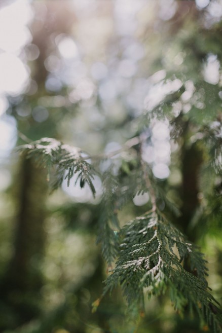 Springtime in Portland Oregon – Photo by Let's Frolic Together