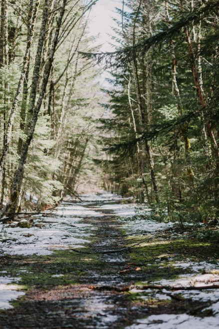 Springtime in Portland Oregon – Photo by Let's Frolic Together