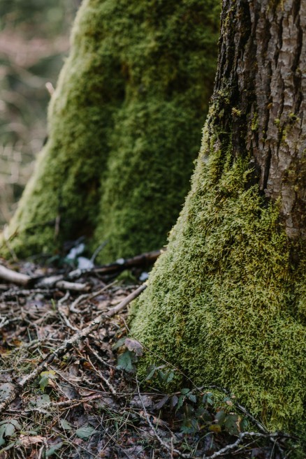 Springtime in Portland Oregon – Photo by Let's Frolic Together