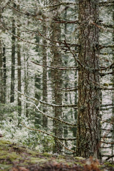 Springtime in Portland Oregon – Photo by Let's Frolic Together