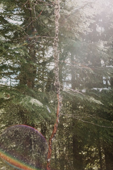 Springtime in Portland Oregon – Photo by Let's Frolic Together