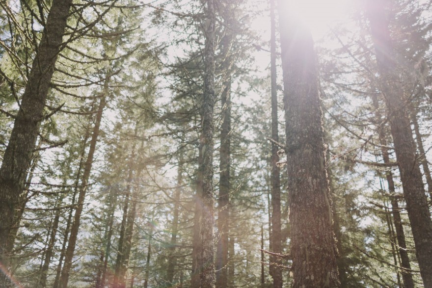 Springtime in Portland Oregon – Photo by Let's Frolic Together