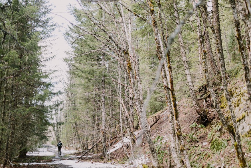 Springtime in Portland Oregon – Photo by Let's Frolic Together