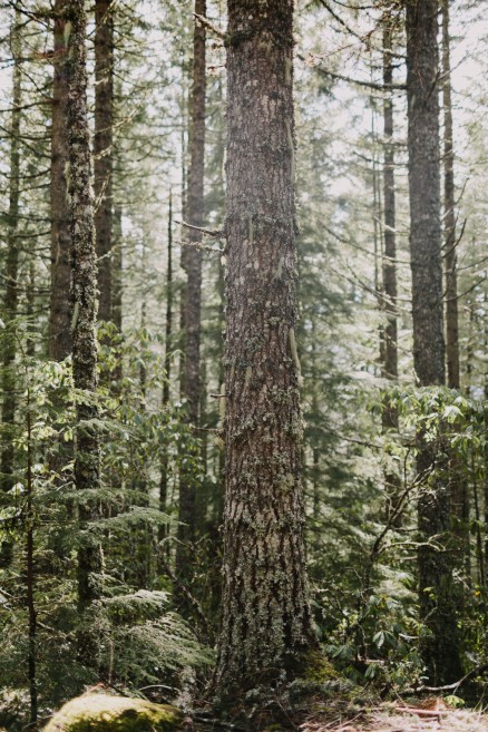 Springtime in Portland Oregon – Photo by Let's Frolic Together
