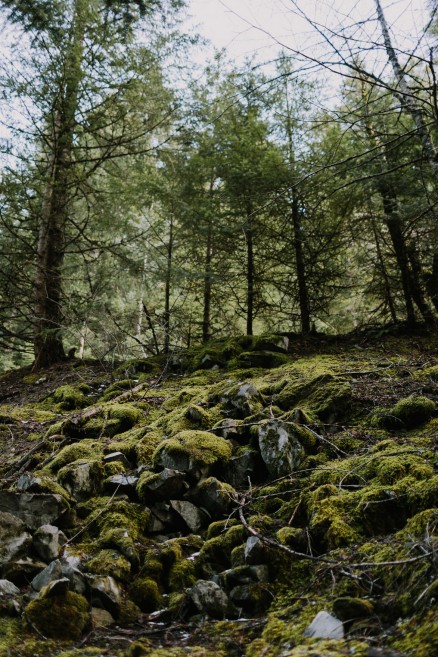 Springtime in Portland Oregon – Photo by Let's Frolic Together