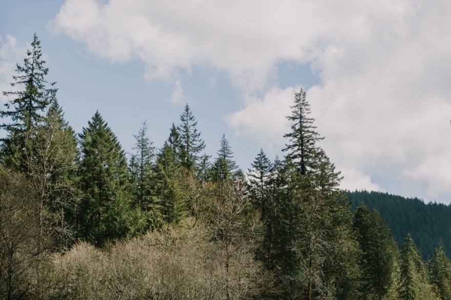Springtime in Portland Oregon – Photo by Let's Frolic Together