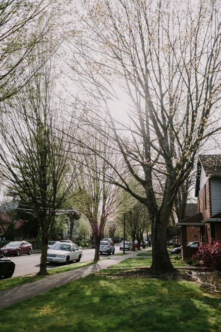 Springtime in Portland Oregon – Photo by Let's Frolic Together