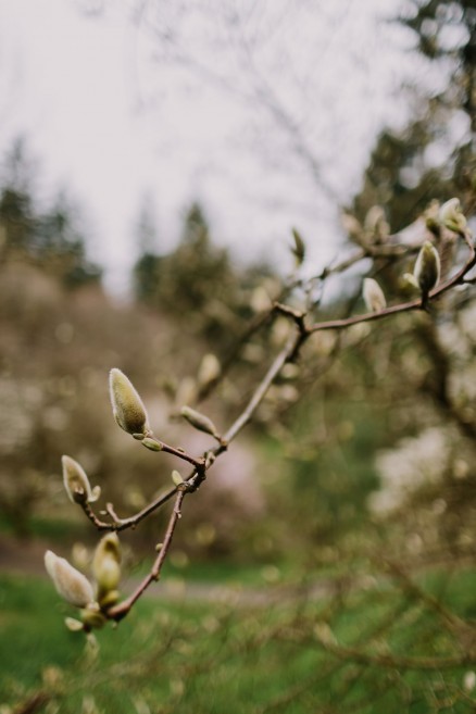 Springtime in Portland Oregon – Photo by Let's Frolic Together
