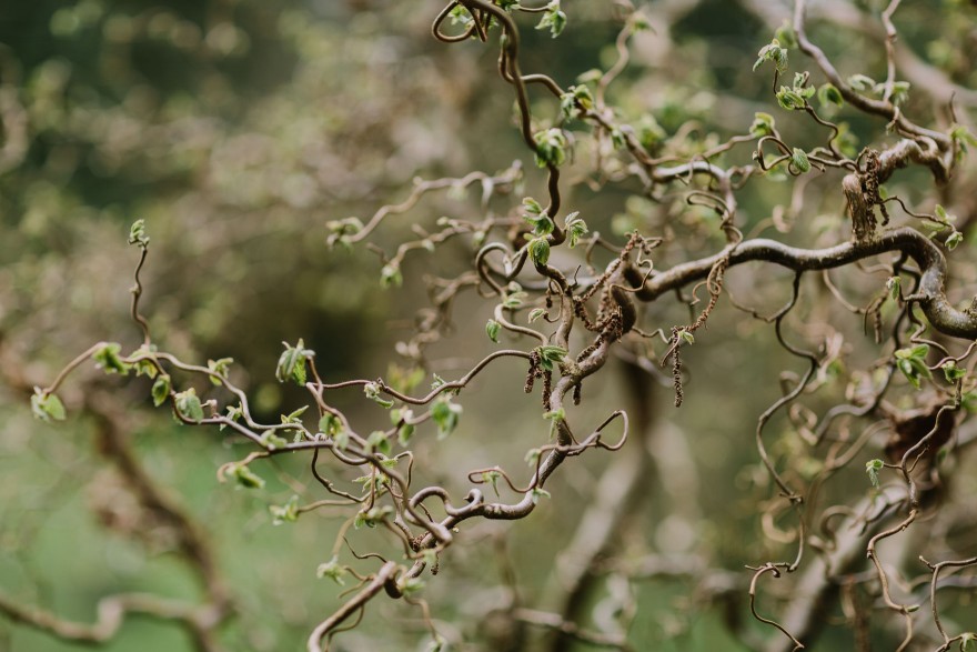 Springtime in Portland Oregon – Photo by Let's Frolic Together