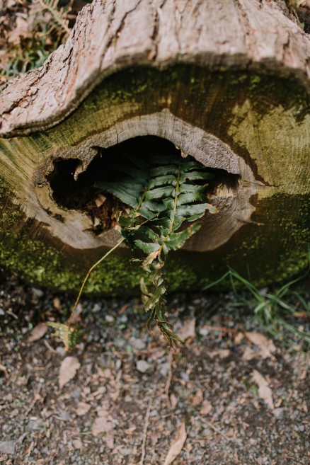 Springtime in Portland Oregon – Photo by Let's Frolic Together
