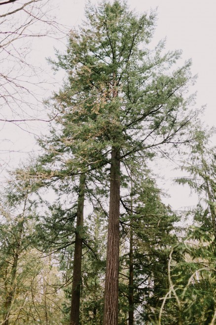 Springtime in Portland Oregon – Photo by Let's Frolic Together