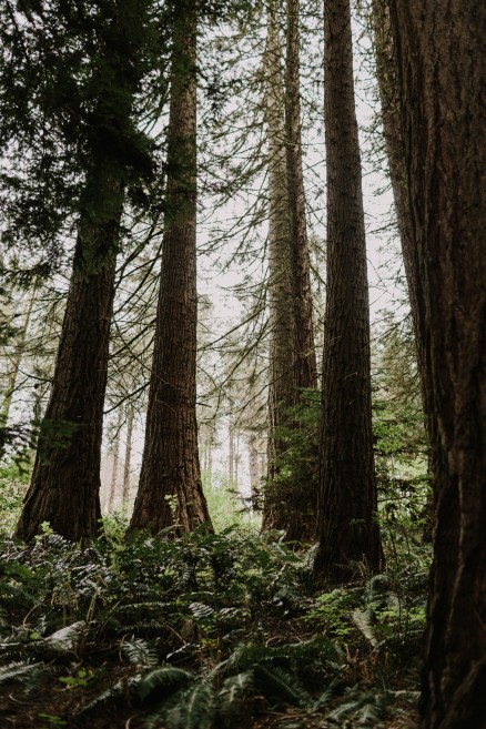 Springtime in Portland Oregon – Photo by Let's Frolic Together