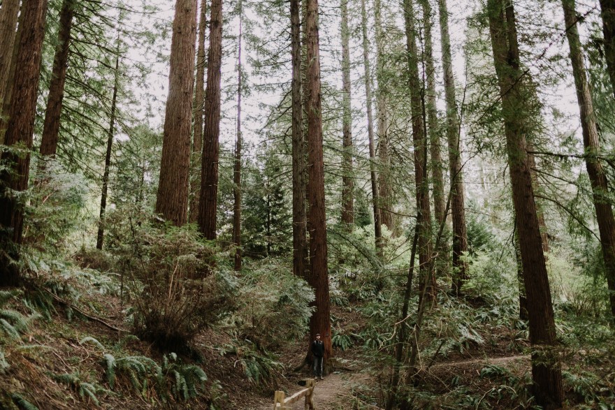 Springtime in Portland Oregon – Photo by Let's Frolic Together