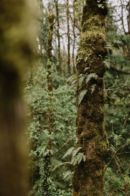 Springtime in Portland Oregon – Photo by Let's Frolic Together