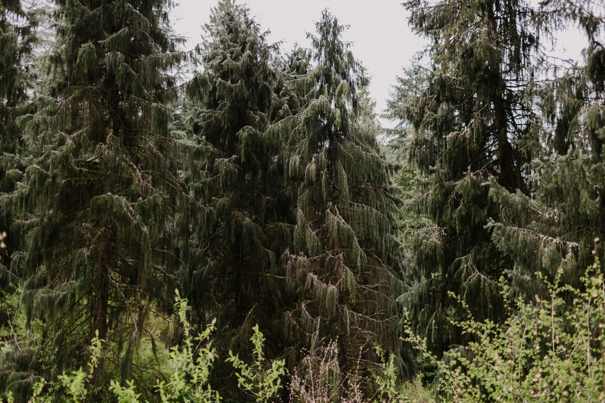 Springtime in Portland Oregon – Photo by Let's Frolic Together