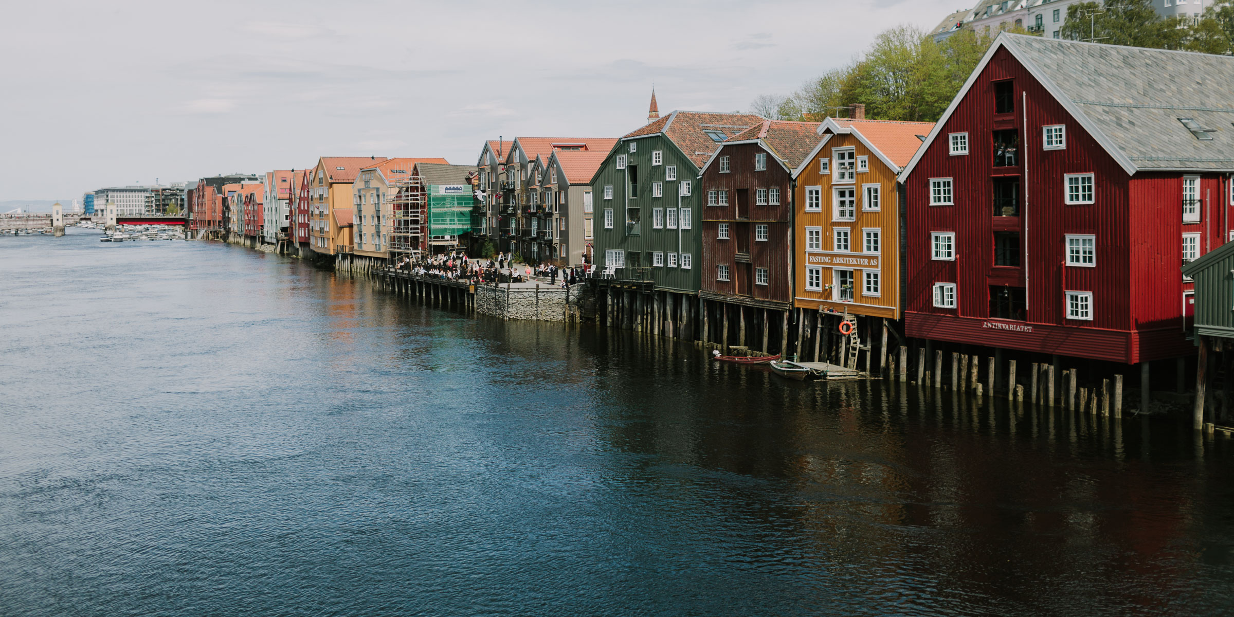 Fishbones & Film at the Salton Sea - Let's Frolic Together