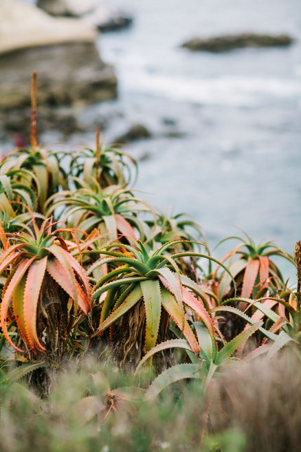 Coastal Caverns Engagement in La Jolla – Photo by Let's Frolic Together