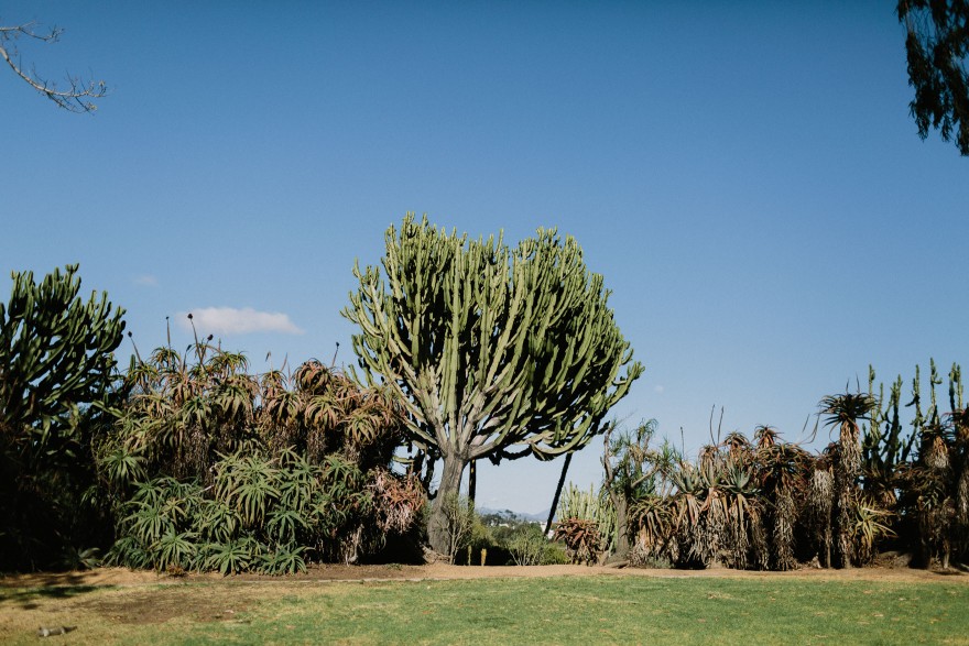 Double the Love San Diego Elopement – Photo by Let's Frolic Together