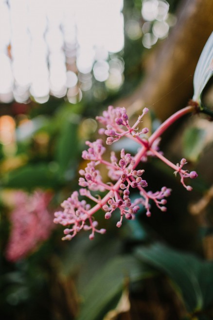 Golden Portaits at Balboa Park – Photo by Let's Frolic Together