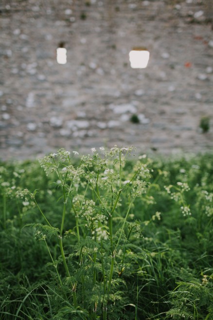History & Castles in Visby, Sweden – Photo by Let's Frolic Together