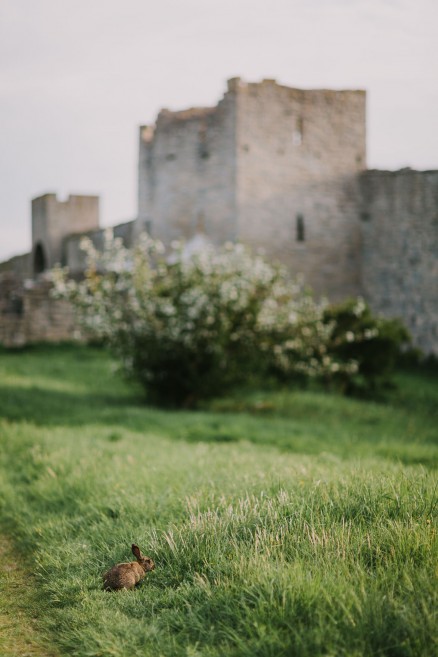 History & Castles in Visby, Sweden – Photo by Let's Frolic Together