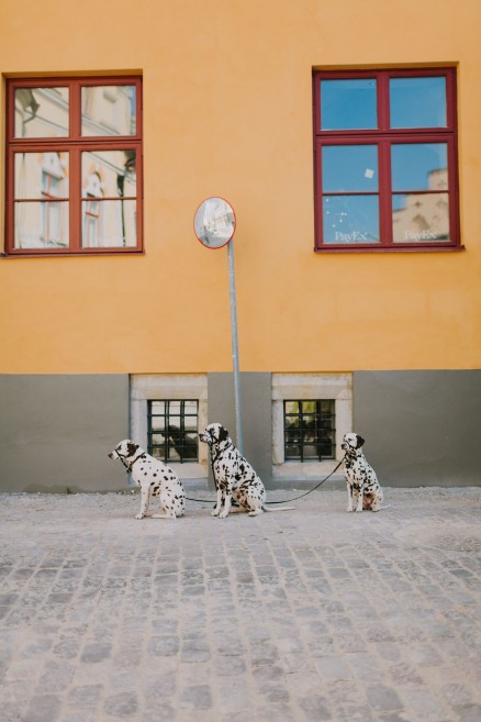 History & Castles in Visby, Sweden – Photo by Let's Frolic Together