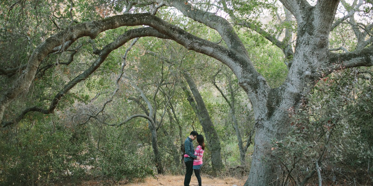 Enchanted Harry Potter Engagement &ndash; Photo by Let's Frolic Together