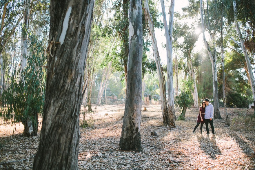 Enchanted Harry Potter Engagement – Photo by Let's Frolic Together