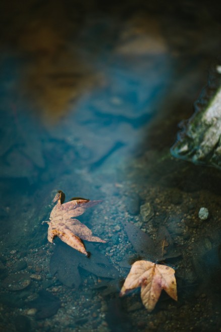 Enchanted Harry Potter Engagement – Photo by Let's Frolic Together