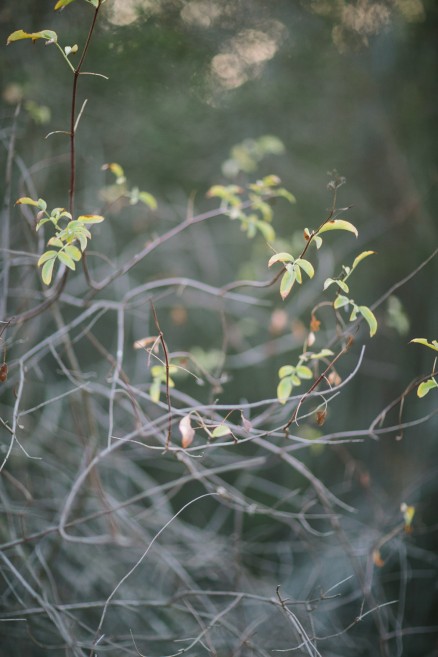 Enchanted Harry Potter Engagement – Photo by Let's Frolic Together