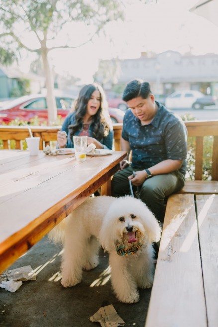 A Pizza & Puppy Engagement – Photo by Let's Frolic Together