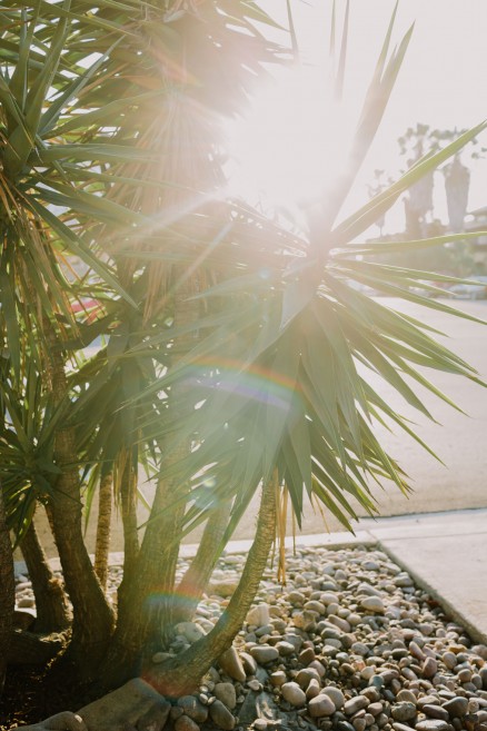 A Pizza & Puppy Engagement – Photo by Let's Frolic Together