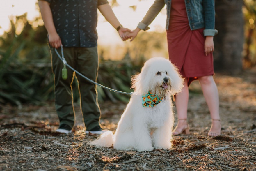 A Pizza & Puppy Engagement – Photo by Let's Frolic Together